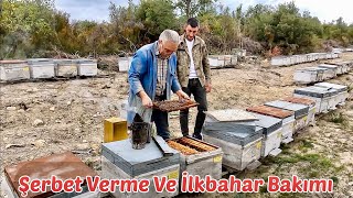 Arı Şerbet Verme Ve İlkbahar Bakımı  Arıcılık [upl. by Berlauda803]