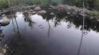 Fishing kaweah River three rivers CA [upl. by Inneg]