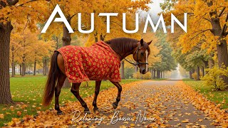 🍂 Soft Bossa Nova Jazz for Autumn Days  Calming Melodies to Enhance Your Focus and Work [upl. by Laehcimaj466]