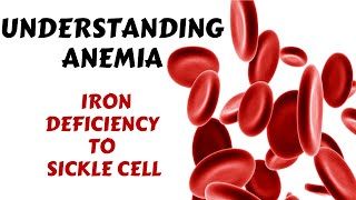 Types of Anaemia  Iron Folate Vitamin B12 deficiency Sickle Cell  Anemia Symptoms amp Treatment [upl. by Meihar]