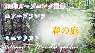 【ガーデニング】おしゃれな庭に見える100均の園芸用品見つけた♬エアプランツに蕾🌸鉢植えから地植えに♪ [upl. by Chick232]