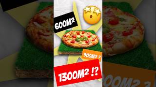 Une pizza de 1300m² [upl. by Jordanson604]