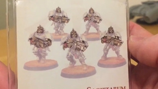 Legio Custodes Sagittarum Guard Upgrade Set Out of the Pack Review Pickelhaubes for 30K [upl. by Nonie297]