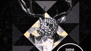 Sasha Carassi  Black Propaganda Tiger Stripes Remix [upl. by Urban]