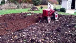 plowing with 1952 Farmall Super A tractor [upl. by Therese]