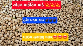 આજના તુવેર ના ભાવ  તુવેર ના ભાવ  તુવેર નો ભાવ Tuver na bajar bhav  Bhojani News Gondal marketing [upl. by Karylin]