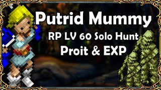 Paladin Lv 60 Solo Hunt  Putrid Mummy  Darashia [upl. by Noam984]