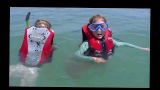 Turtles and Snorkels Off the Jetty at South Padre Island [upl. by Assereht]