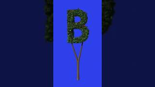 B alphabet alphabet trending abcd name B Banimation animation [upl. by Abixah]