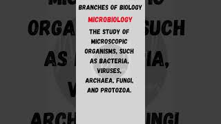 Branches of Biology  Microbiology biology microbiology definition shorts [upl. by Appilihp]