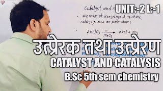 Catalyst and Catalysis in Hindi  Types of Catalyst  BSc 5th sem chemistry [upl. by Anaej638]