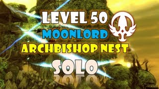 Dragon Nest SEA Level 50 Skills [upl. by Aerdnac398]