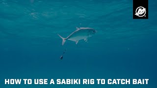 How to Use a Sabiki Rig to Catch Bait [upl. by Fitz174]