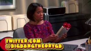 TBBT S06E20  Raj amp Sheldon trying to get Tenure at University [upl. by Sharlene]