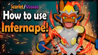 INFERNAPE is a SPICY Fire Type in Regulation E  INFERNAPE Moveset Guide  Scarlet amp Violet VGC 2024 [upl. by Amalle343]