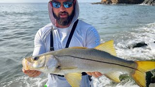 Snook and Cubera Inshore Fishing Part 1 [upl. by Bohman]