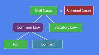 Episode 11 What is Torts And what Torts is not [upl. by Mazur]