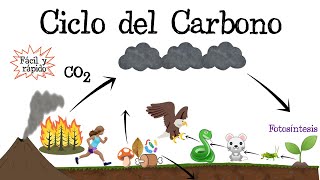 ♻️ Ciclo del Carbono ⚫️ Fácil y Rápido  BIOLOGÍA [upl. by Ahsaek990]