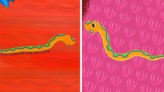 Tinga Tinga Tales Official  Why Snake Has No Legs  Tinga Tinga Tales Full Episodes [upl. by Zia]