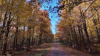 Automne 2024 au mont Yamaska de StPauldAbbotsford QC [upl. by Pik]