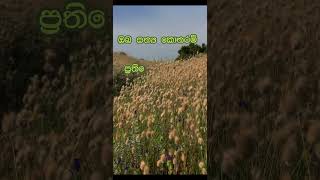 නිවන් දකින්න කාලය පැමිණ ඇත nibbana facts dhammadesna [upl. by Zamir]