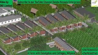 A Farm with Eucalyptus and Cottages Mityana [upl. by Akalam]