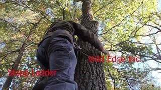 Wild Edge Stepp Ladder review [upl. by Valene]