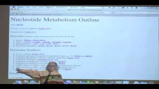 Kevin Aherns BiteSized Biochemistry 39  Nucleotide Metabolism I [upl. by Marilin]