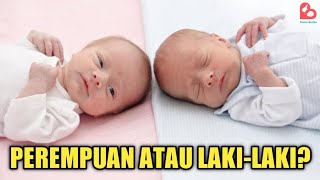 Cara Mengetahui Jenis Kelamin Bayi di Dalam Kandungan [upl. by Neelhtak]