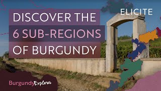 What Are The Wine SubRegions Of Burgundy [upl. by Odnamra]