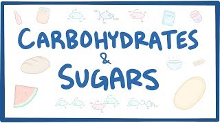 Carbohydrates amp sugars  biochemistry [upl. by Adna]