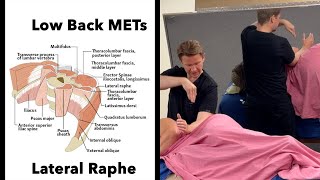 Low Back METs Lateral Raphe QL  Quadratus Lumborum release HD 1080p 2024 [upl. by Lilith659]