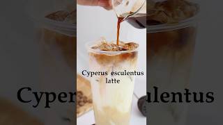 Delectable Cyperus esculentusTiger nut latte coffee [upl. by Ponzo]