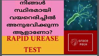 Rapid Urease Test RUT  CLO Test  Helicobacter Pylori Malayalam [upl. by Uria]