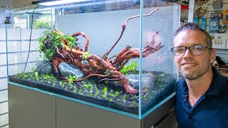 Riverwood Aquatics Aquascape Workshop  Full Demo 4K [upl. by Aihsoj]