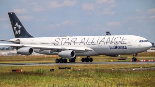 4K Afternoon Rush at Frankfurt Airport [upl. by Krystle128]