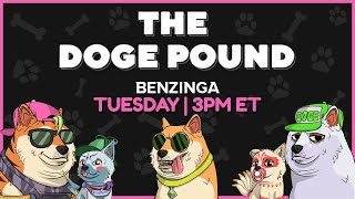 NEXT HUGE NFT  The Doge Pound  The Roadmap  Crypto LIVE 🚨 [upl. by Cosimo]