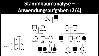 Stammbaumanalyse  Anwendungsaufgaben 24  Biologie Oberstufe [upl. by Eibloc206]