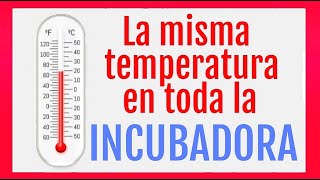 TEMPERATURA en la Incubadora casera [upl. by Laspisa]