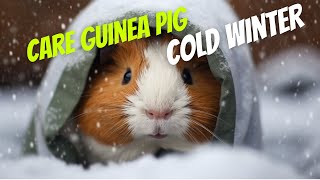 How To Care For Your Guinea Pig In A Cold Winter [upl. by Nauwtna]