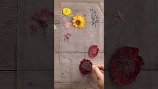 Try THIS with Pressed Flowers 🌺 pressedflowers journaling pressedflower [upl. by Nolyak]