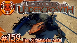 Tier 5 Matabele Ants Version 10 LETS GOOOOOOOO  Empires of the Undergrowth  Part 159 [upl. by Llegna]