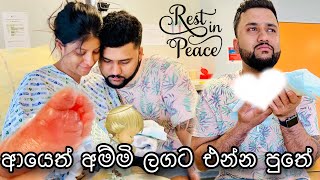 සති 21න් ඉපදුනු මගේ පුතාලා👼ආයෙත් අම්මි ලගට එන්න පුතේ🫀 Birth story🥹 anneyelina birth missyou [upl. by Roosevelt]