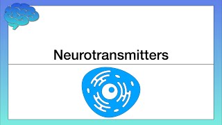 How do Neurotransmitters Work Chemical Activity in the Brain [upl. by Ased]