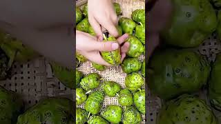 Noni fruit cutting process [upl. by Beaston182]