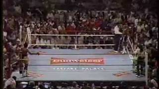 Hagler vs Hearns Round 3mp4 [upl. by Nieberg276]