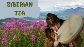 How to make tasty and healthy herbal tea from Fireweed [upl. by Chiquita]