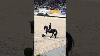 CHIO Aachen Ingrid Klimke full dressage test [upl. by Herzen]