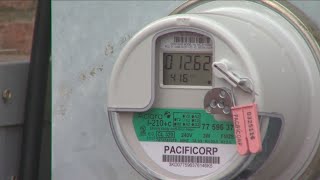 NYSEG to install smart electric meters [upl. by Nerraw]