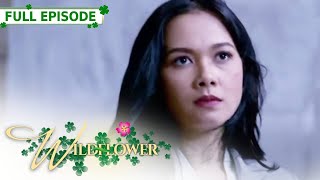 ENG SUB Ep 174  Wildflower  Maja Salvador Tirso Cruz III Aiko Melendez [upl. by Lark]